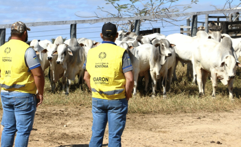Produtor rural tem até 30 de novembro para atualizar cadastro agropecuário junto à Idaron