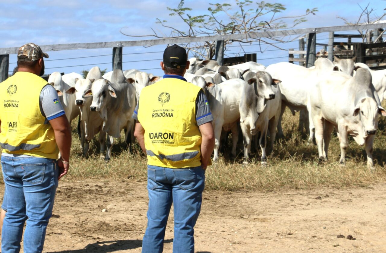Produtor rural tem até 30 de novembro para atualizar cadastro agropecuário junto à Idaron