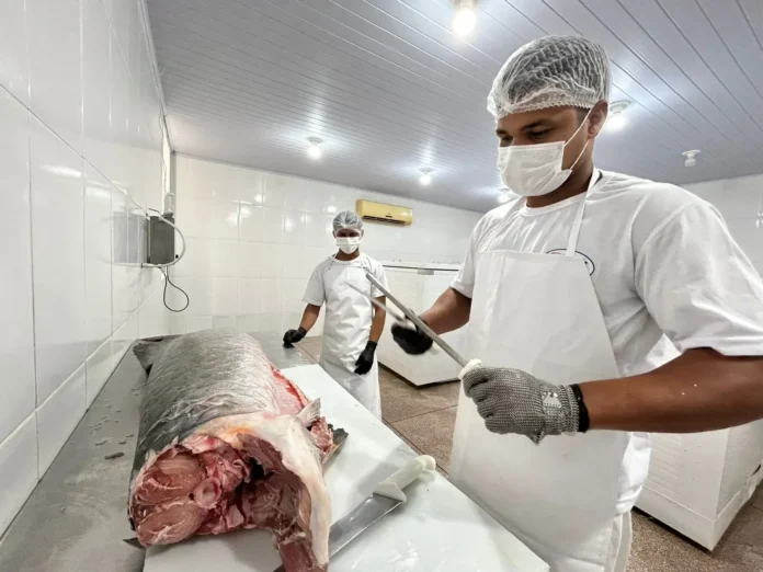 Do SIM para o Brasil: regularização abre mercado e fortalece agroindústrias de PVH