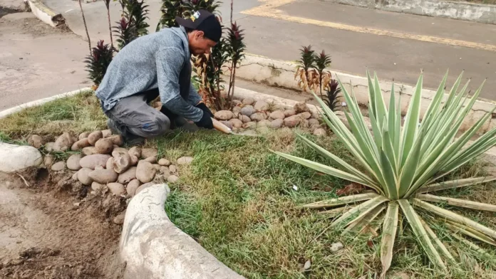 Prefeitura inicia manutenção periódica dos jardins de chuva de Porto Velho