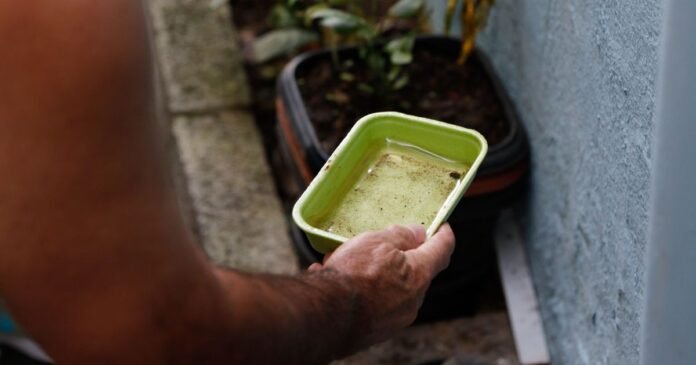 Mudanças climáticas impulsionam o avanço da dengue no Brasil, aponta estudo