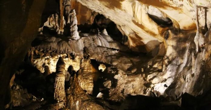 Osso de 30 mil anos encontrado em caverna francesa revela conexões surpreendentes entre o Leste e o Oeste da Europa