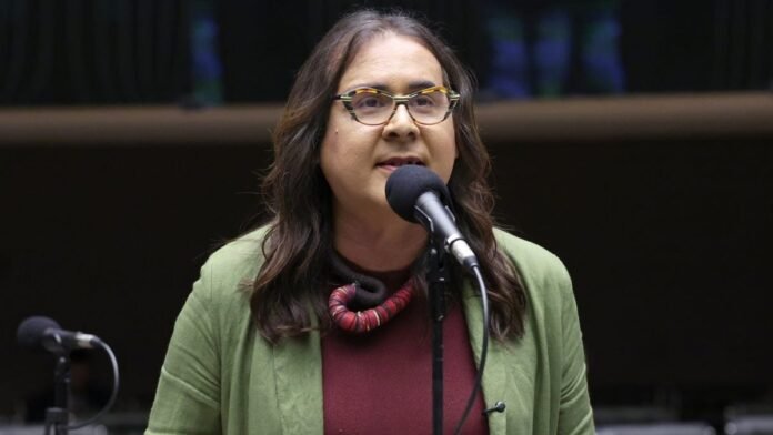 Duda Salabert diz ter pedido apreensão do passaporte de Flávio