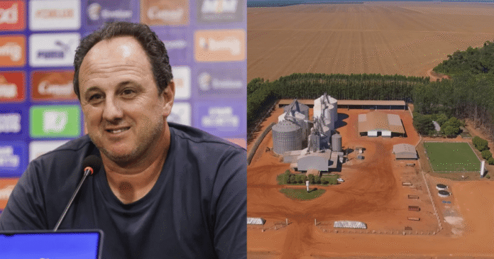 Fazenda da família de Rogério Ceni em Mato Grosso produz soja e milho e tem até campo de futebol em seus 3,9 mil hectares