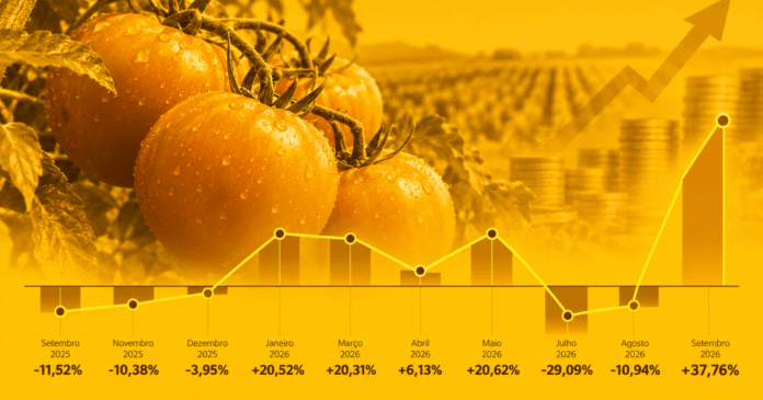 Tomate desafia padrão histórico de preços e surpreende na inflação de 2026