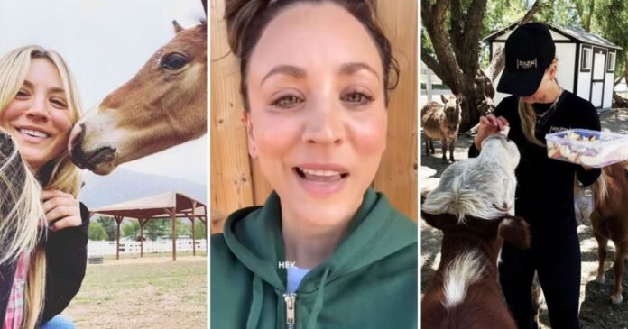 Estrela de Big Bang Theory, Kaley Cuoco comprou rancho para praticar hipismo e o transformou em santuário para mais de 100 animais resgatados