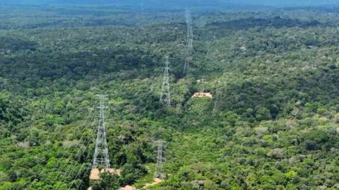Leilão: Celeo Redes vence o lote 8 em Rondônia com deságio de 48,02%