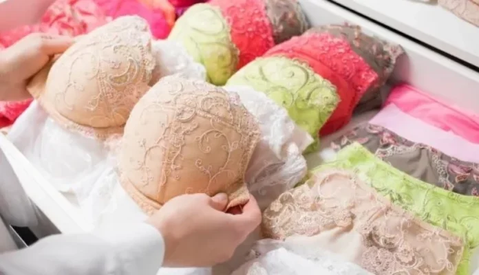 Capital da Lingerie: Nova Friburgo conquista a mais nova Indicação Geográfica do país