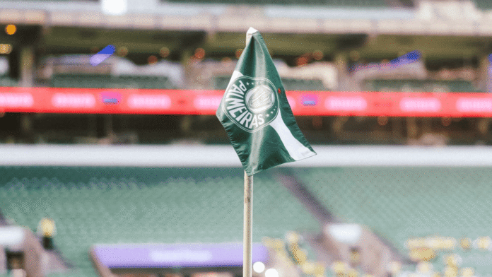 Palmeiras suspende conselheiro por 9 meses