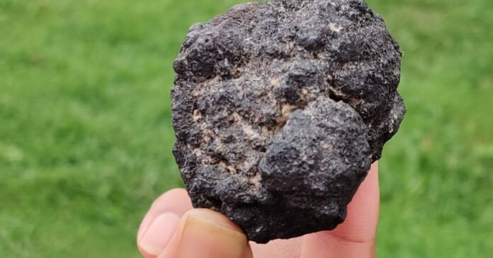 Brasil encontra novos indícios de minerais críticos no fundo do Atlântico