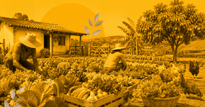 Agricultura familiar e fome: o que Flávio Bolsonaro e Lula propõem