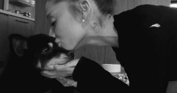 Ariana Grande lamenta morte de cachorrinha de estimação: “Vou sentir falta”