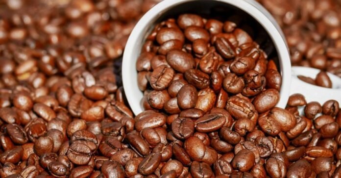 Café arábica recua 2,39% em Nova York com pressão do câmbio no Brasil