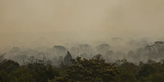 Força Nacional do SUS apoia atendimentos no Amazonas após incêndios
