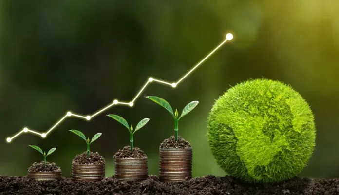 Plataforma apoia pequenos negócios sustentáveis a organizar projetos para acessar recursos do BNDES