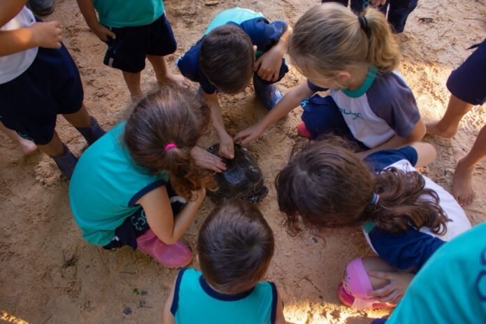 Escola Favoo abre as portas para famílias na Experiência Fazendinha