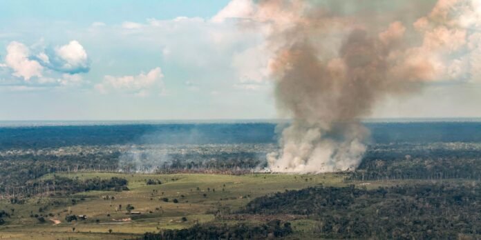 Incêndios avançam sobre o oeste do Pará e deixam ar insalubre