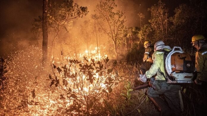 Focos de fogo no Amazonas crescem após 1º eleições e atingem áreas privadas