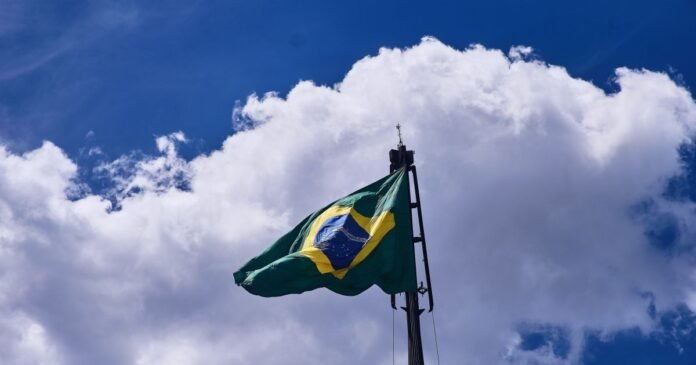 Por que marcas de limpeza viram preferência nacional