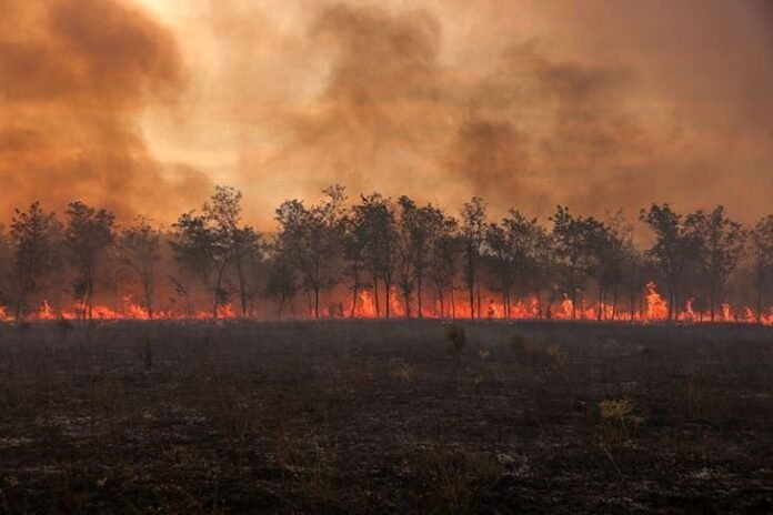 Tempestades de calor se tornam mais frequentes, atingem 85% do planeta e provocam mortes, incêndios e secas